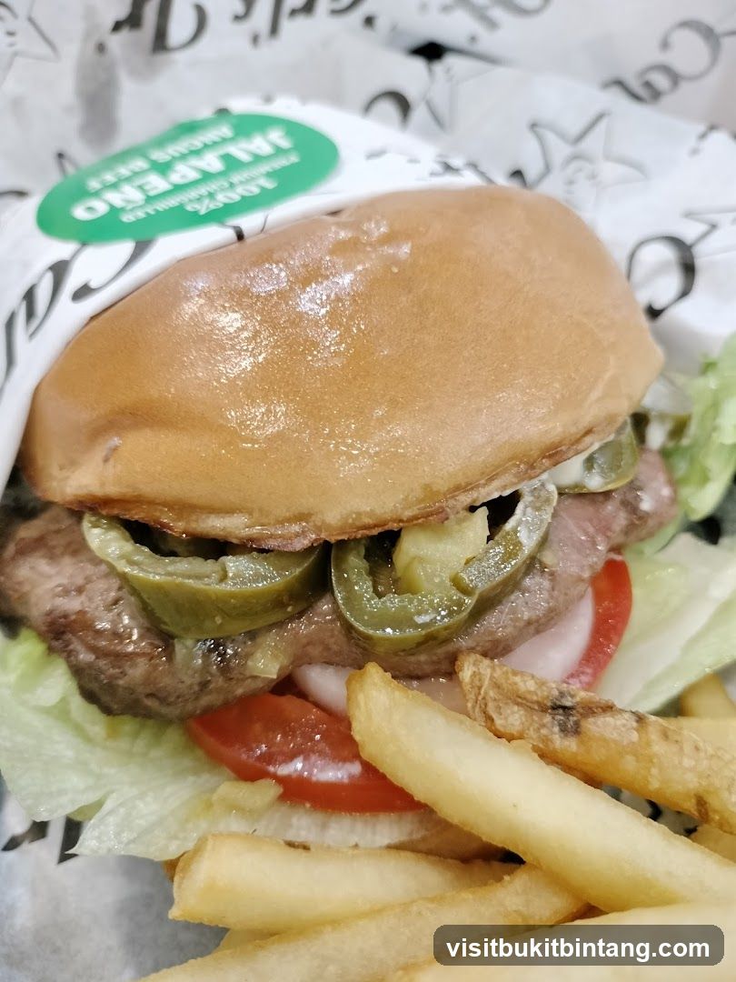 Jalapeno Burger with Fries
