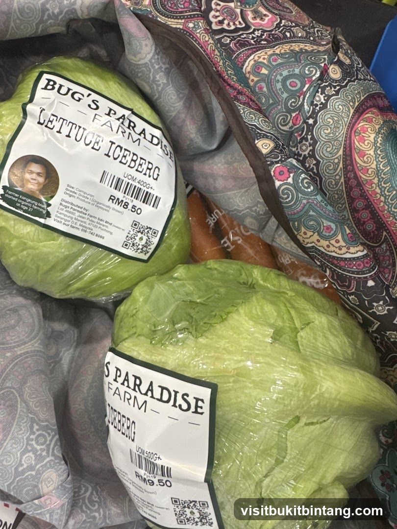 Iceberg Lettuce