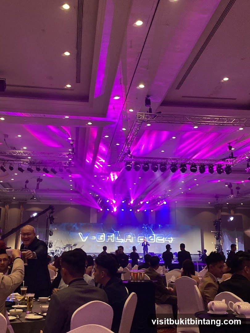 V-Gala 2024 Event