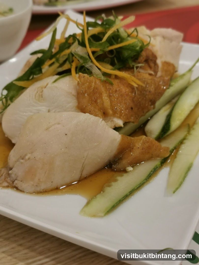 Chicken Dish with Cucumber and Garnish
