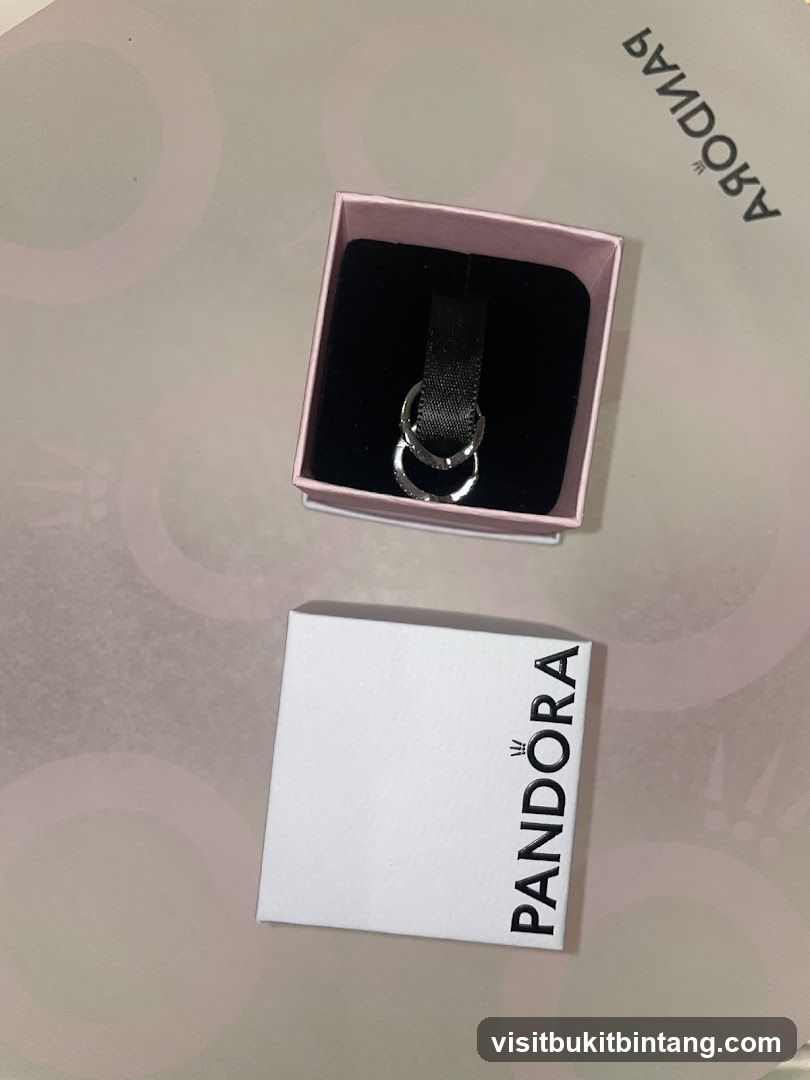 Pandora Earrings in Box