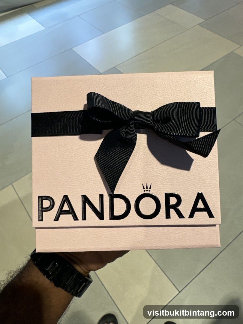Pandora Gift Box