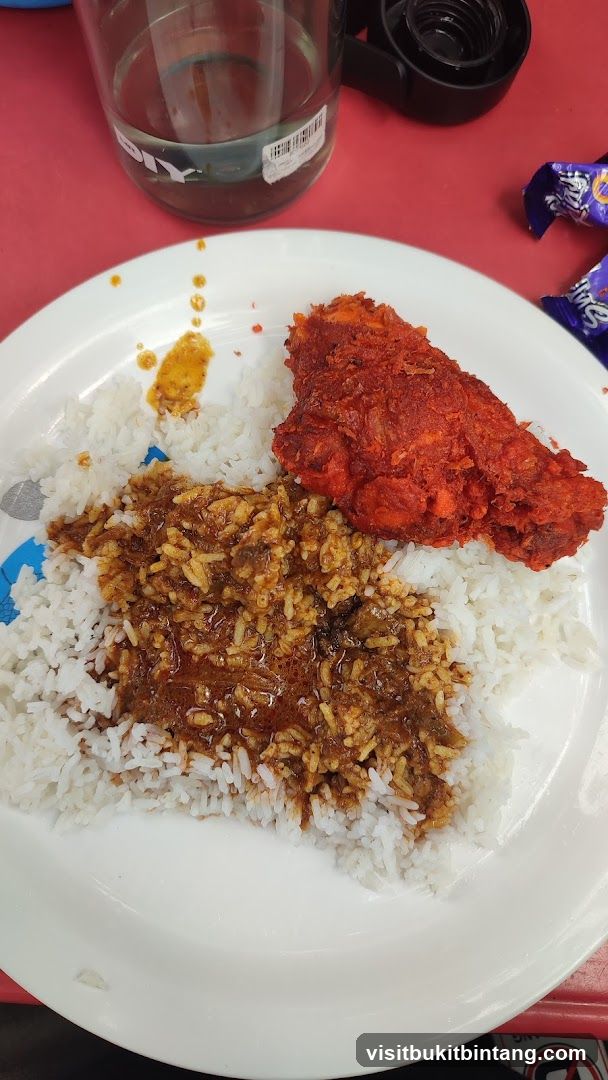 Fried Chicken with Rice and Gravy