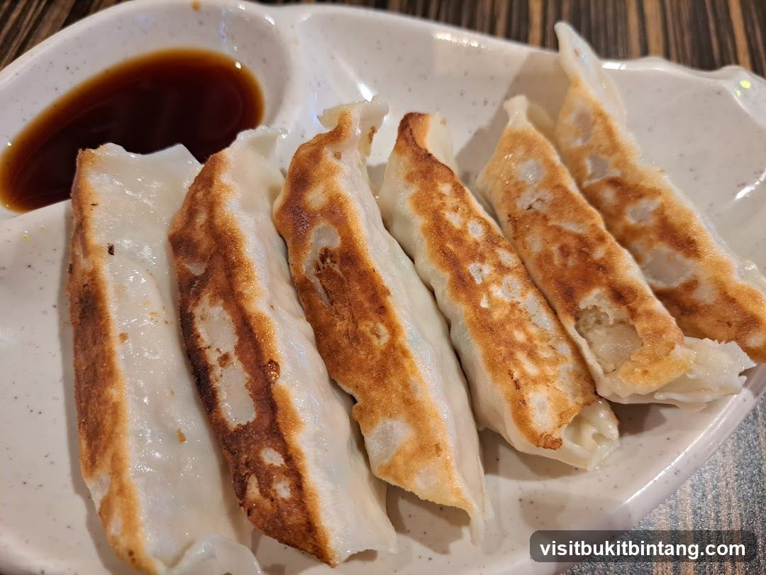Pan-Fried Dumplings