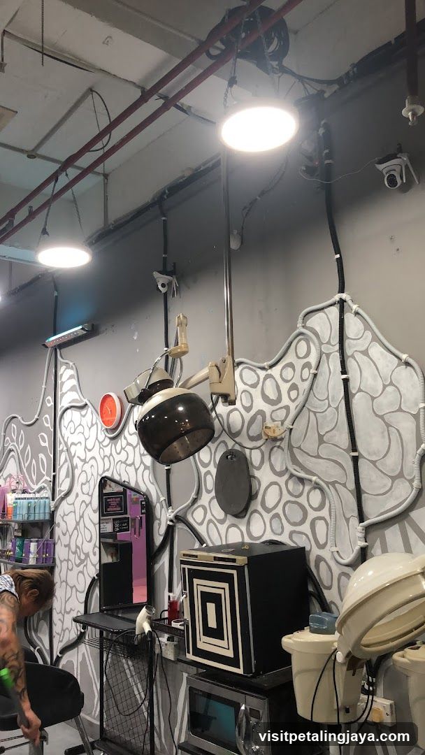 Salon Interior with Decorative Wall Art