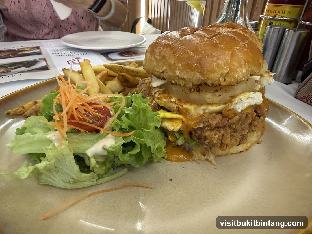 Burger with Fries and Salad