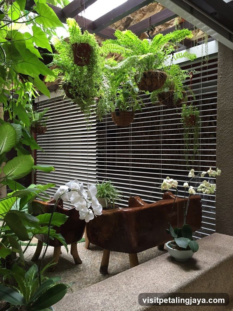 Indoor Plant Corner with Hanging Ferns and Orchids