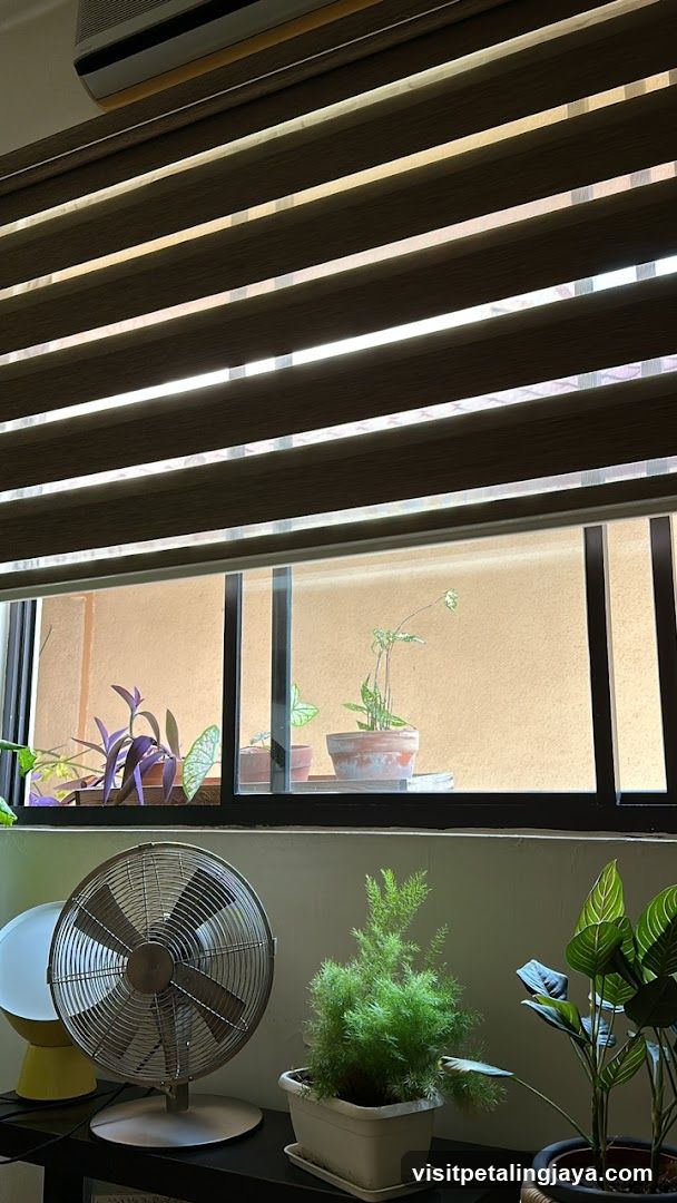 Indoor Plants and Fan by Window