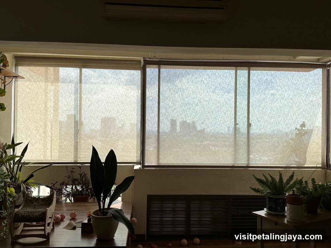 Indoor Room with Plants and Windows