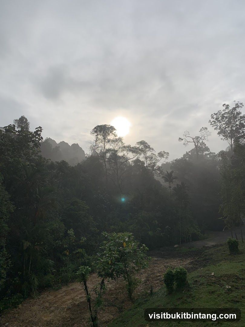 Taman Pertanian