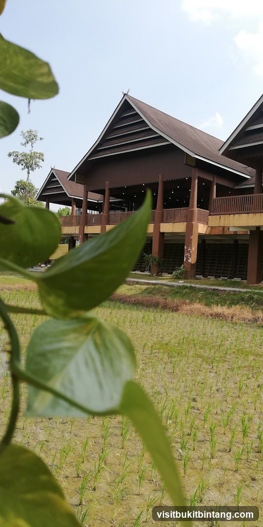Traditional Building with Rice Paddies
