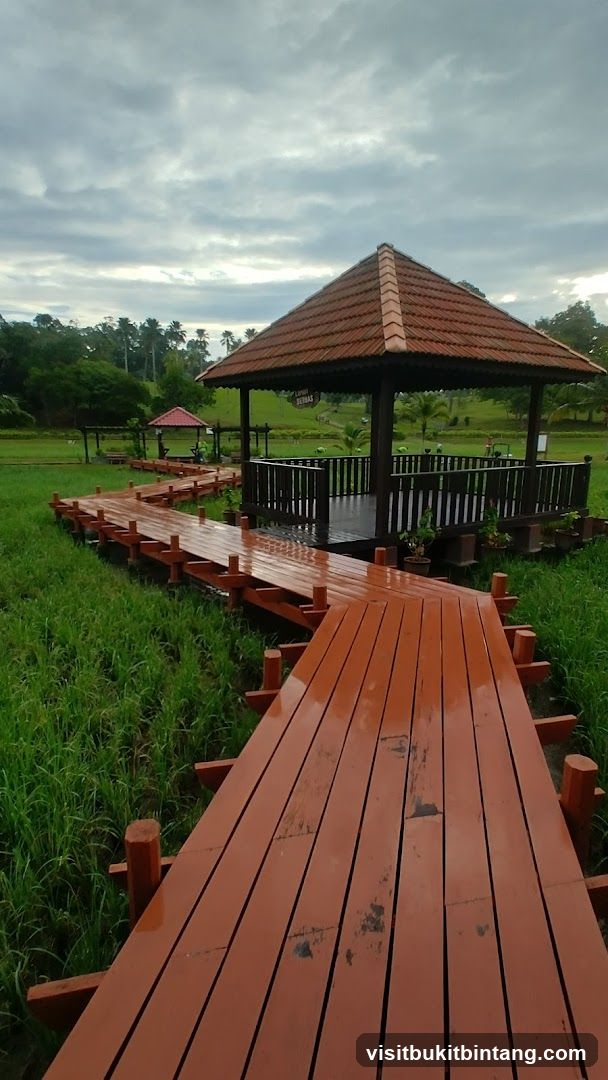 Wooden Boardwalk and Gazebo in a Grassy Field