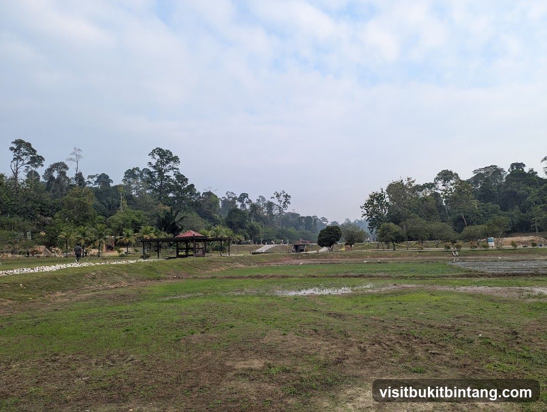 Park with Lush Greenery and Gazebo