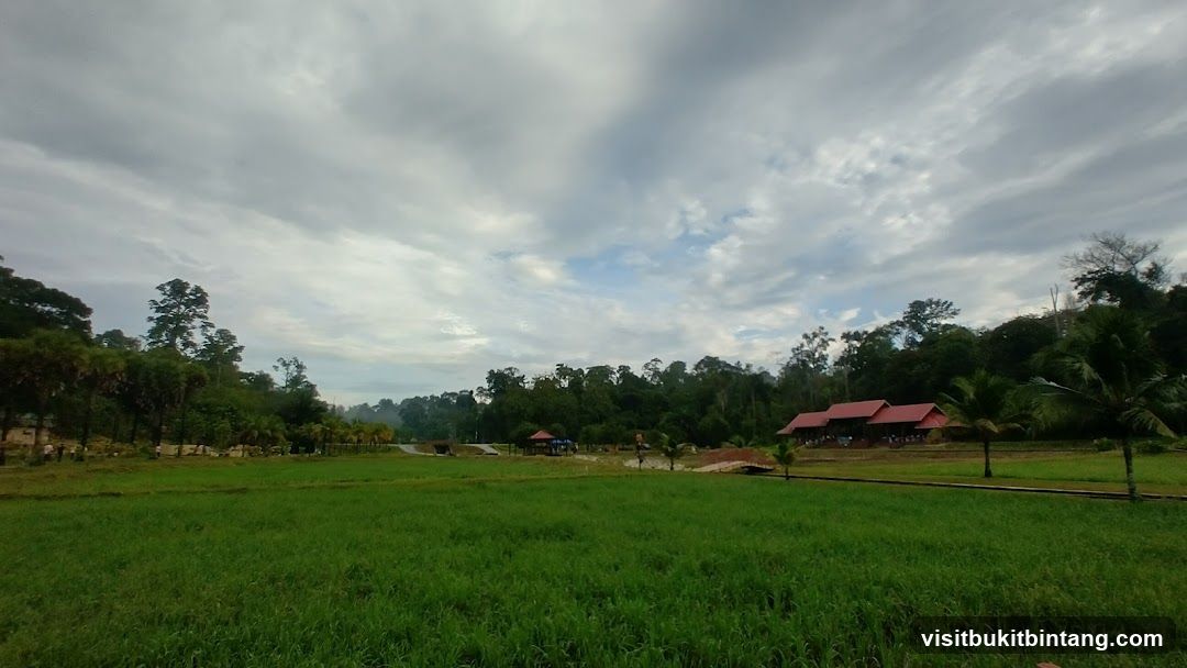 Rural Landscape with Buildings