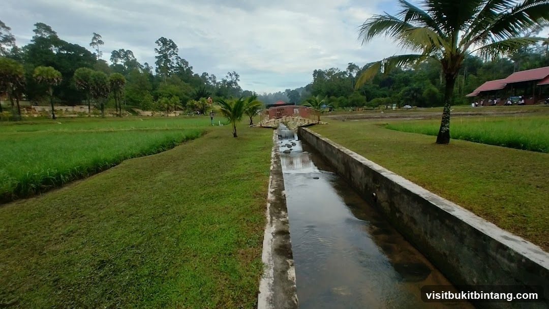 Waterway and Greenery