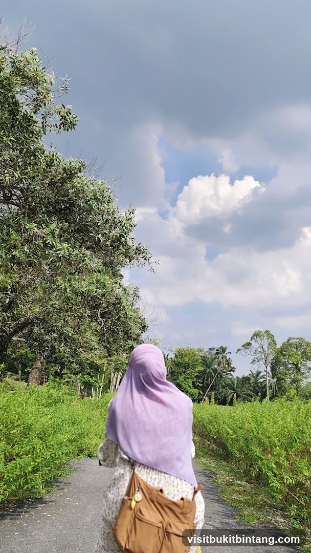 Person walking on a path with lush greenery and cloudy sky