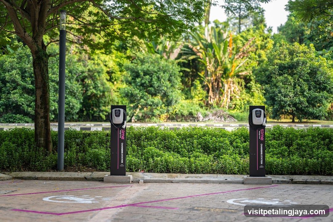 Electric Vehicle Charging Stations in a Park