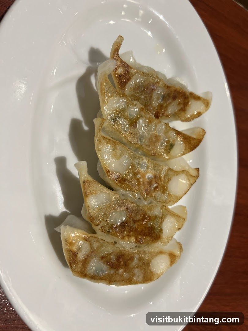 Pan-fried dumplings