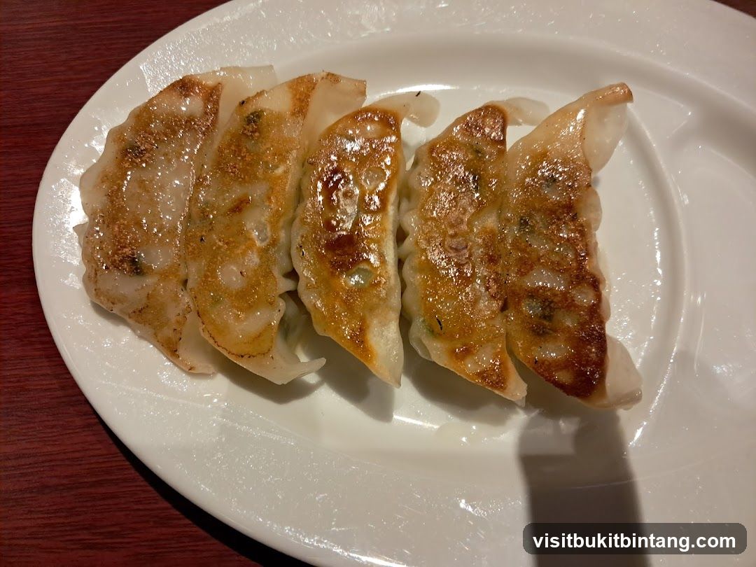 Pan-fried dumplings
