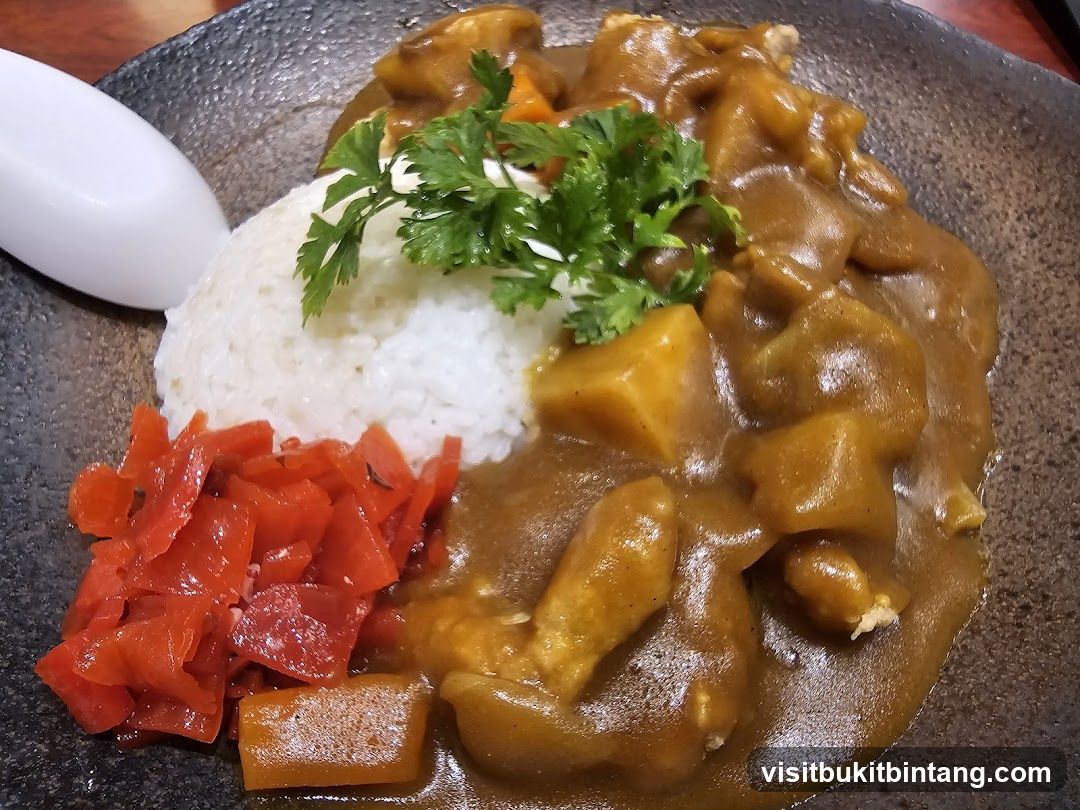 Japanese Curry with Rice