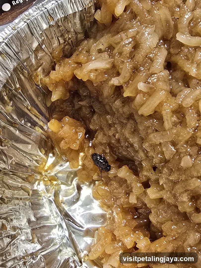 Insect in Foil Container Food