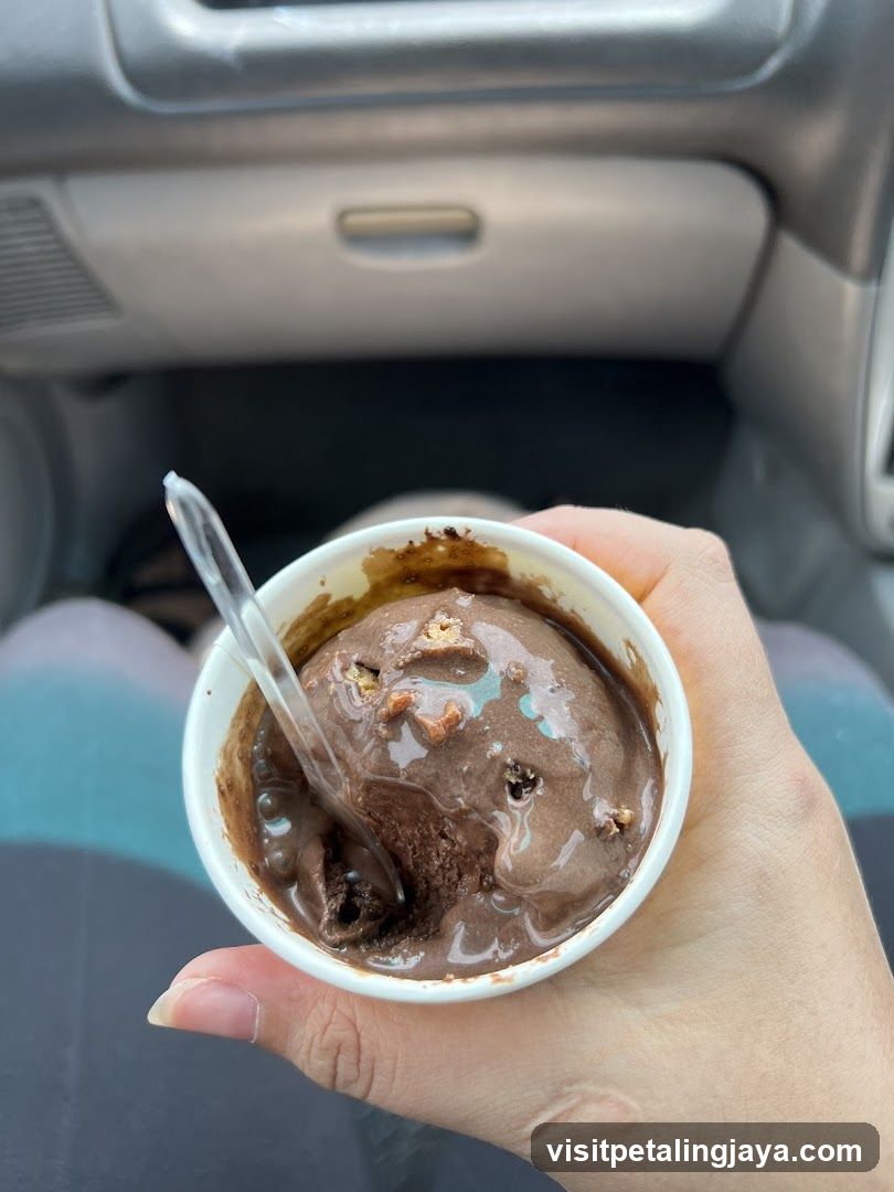 Chocolate Ice Cream in Car