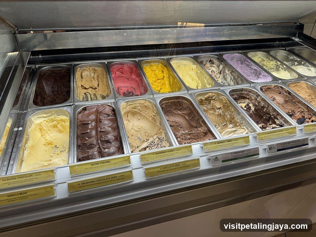 Ice Cream Display Case