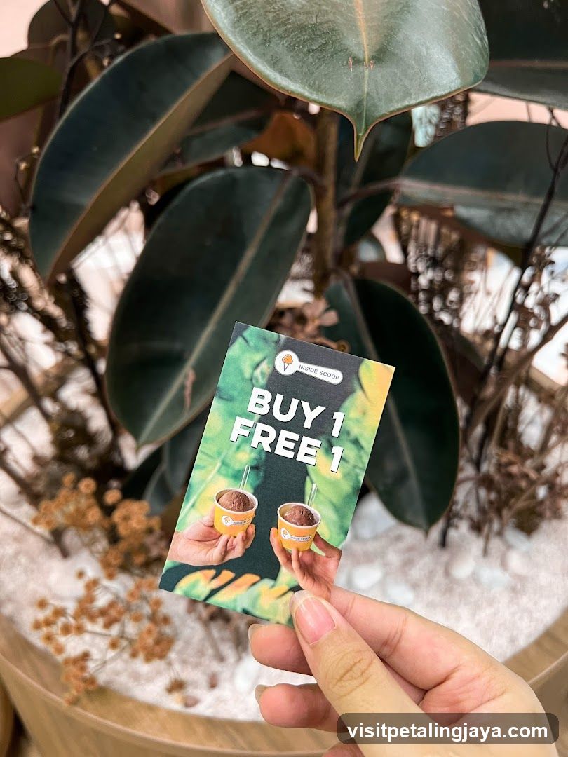 Buy 1 Free 1 Promo Card