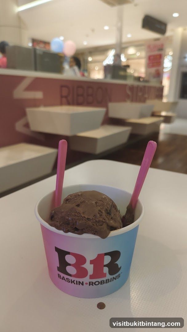 Chocolate Ice Cream Cup