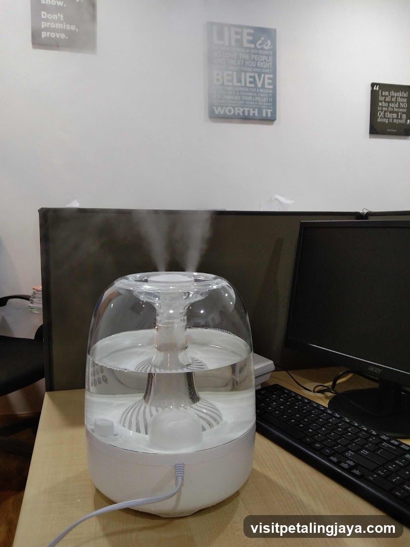 Office Humidifier Setup