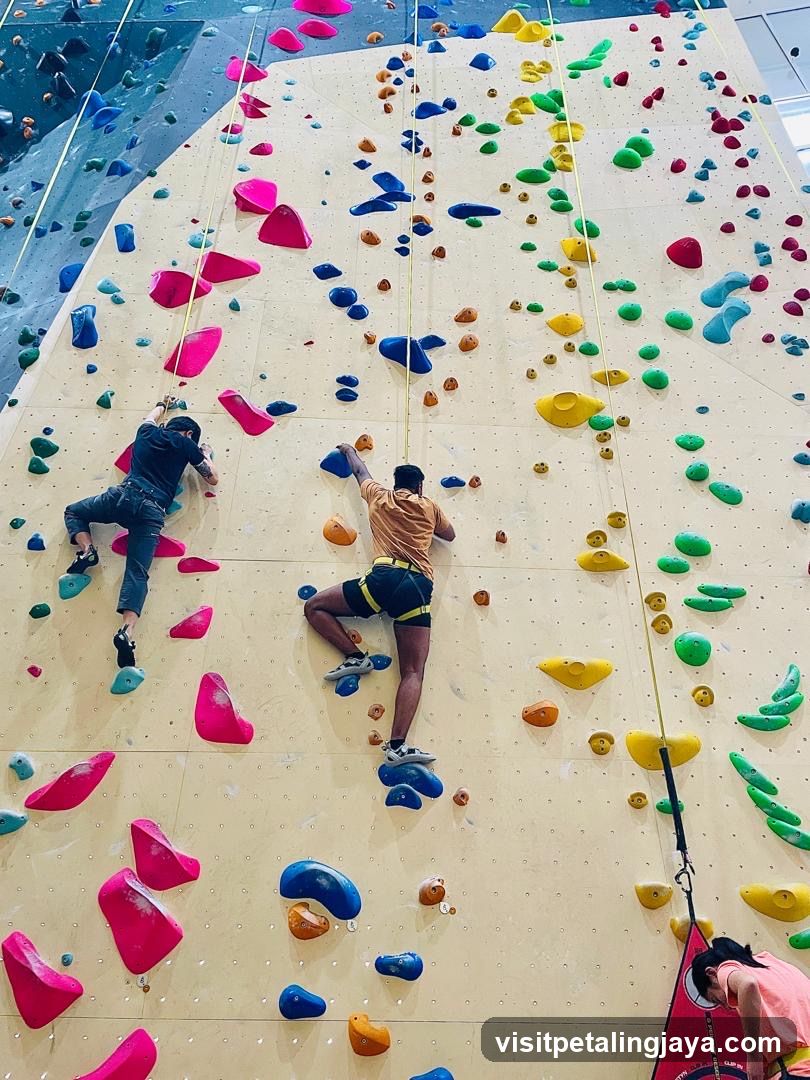 Indoor Rock Climbing Wall
