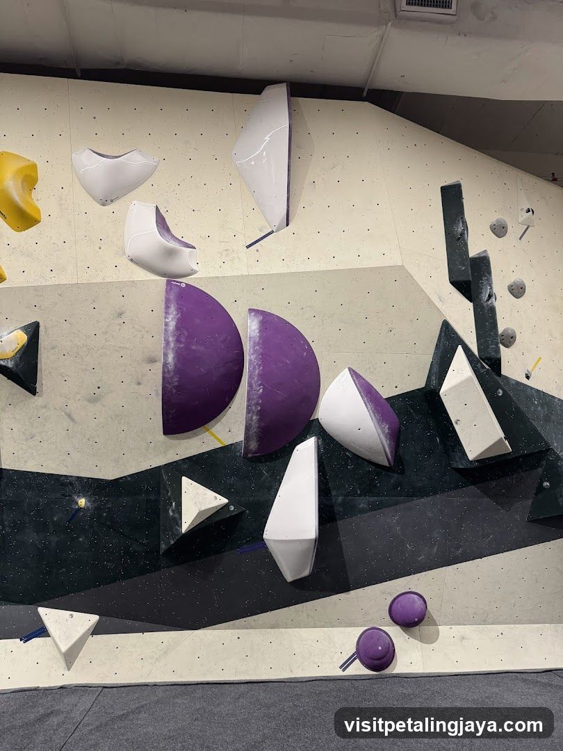 Indoor Rock Climbing Wall
