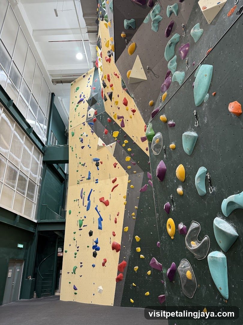 Indoor Rock Climbing Wall