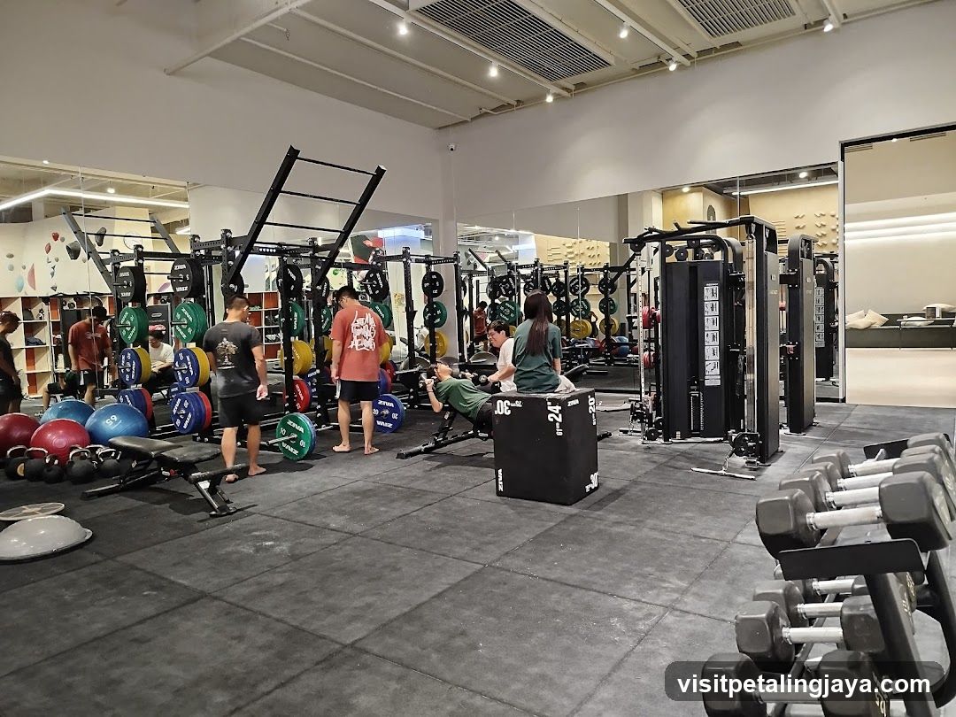 Gym Interior with Equipment and Members