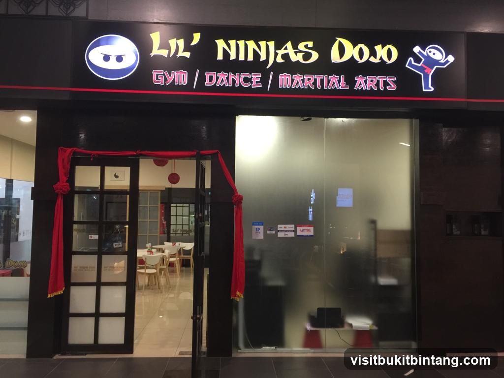 Lil' Ninjas Dojo