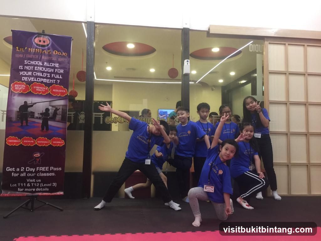 Lil' Ninjas Dojo