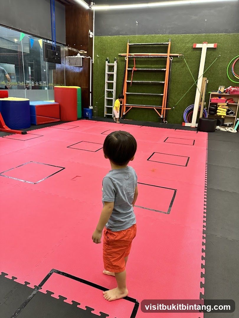 Lil' Ninjas Dojo