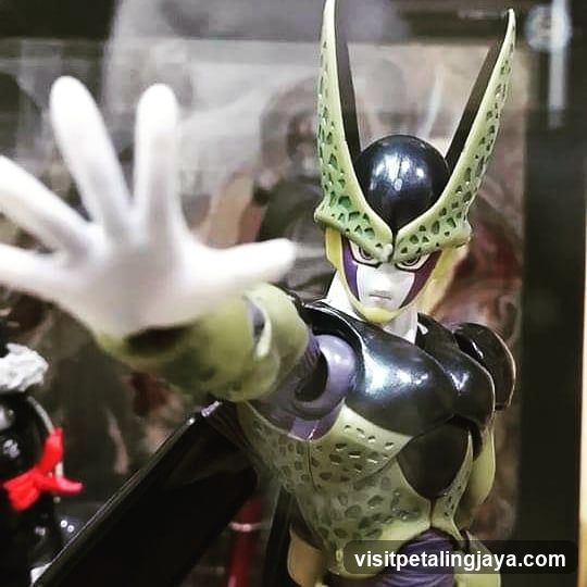 Cell figure display