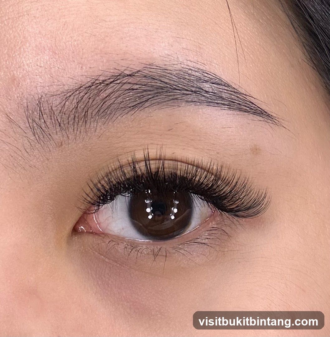 Y Lash Bar