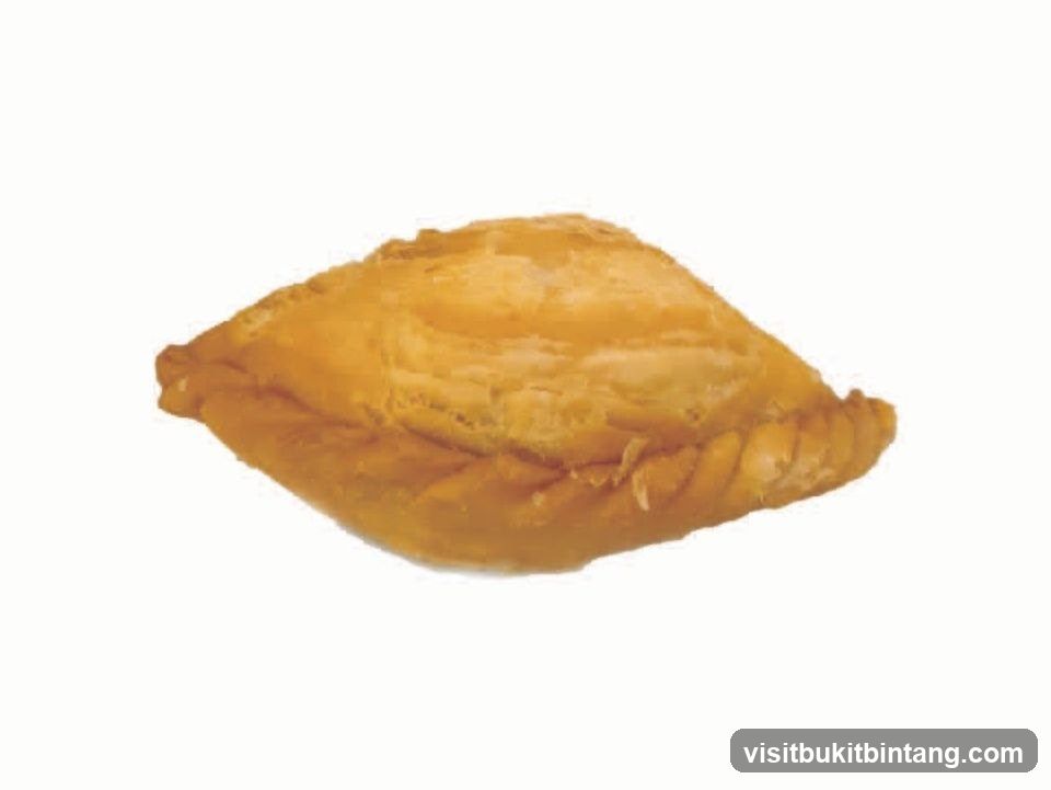Curry Puff