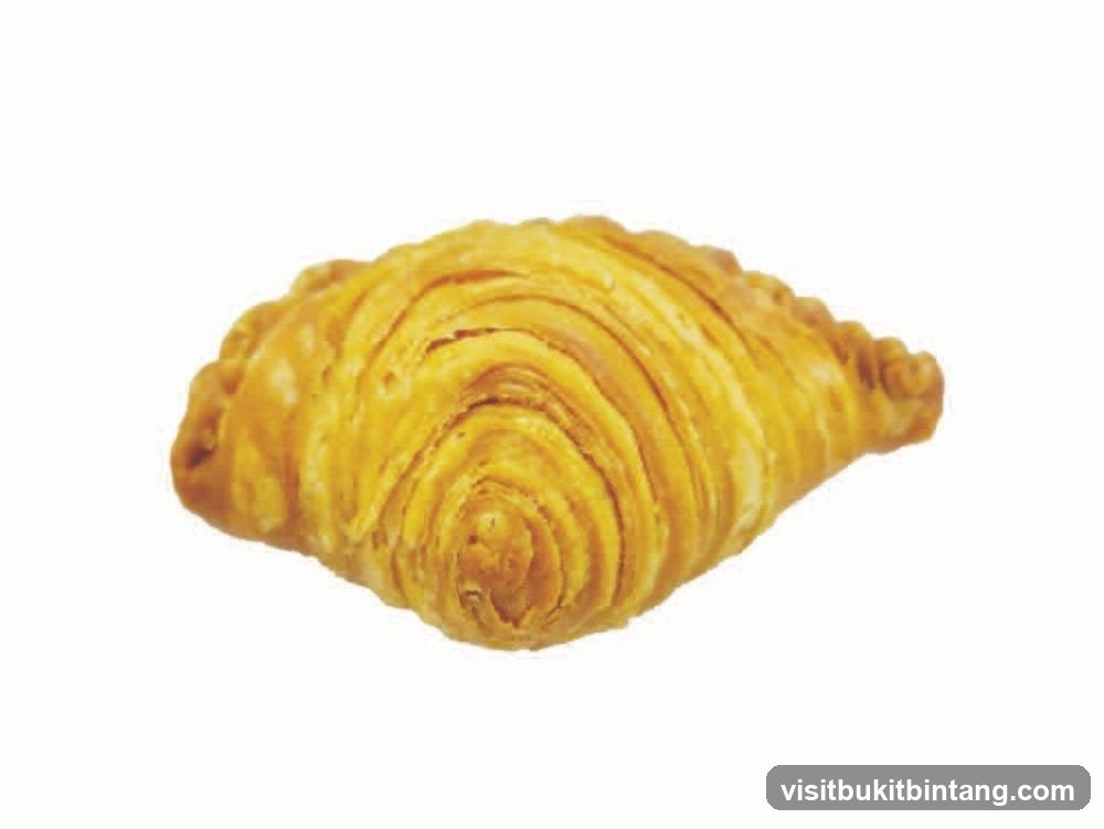 Curry Puff