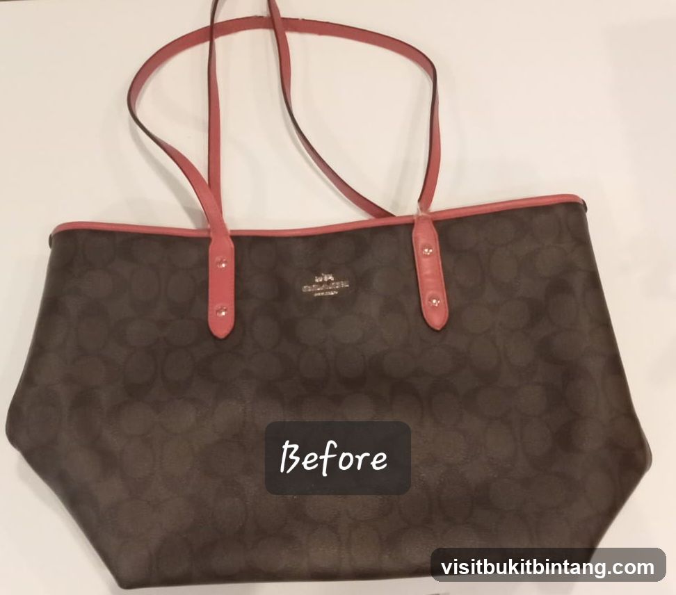 Coach Tote Bag