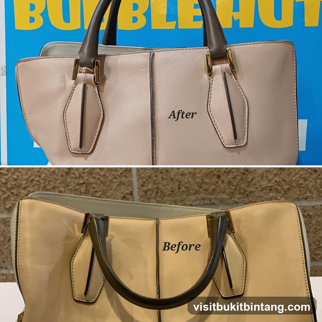 Before and After Handbag Cleaning