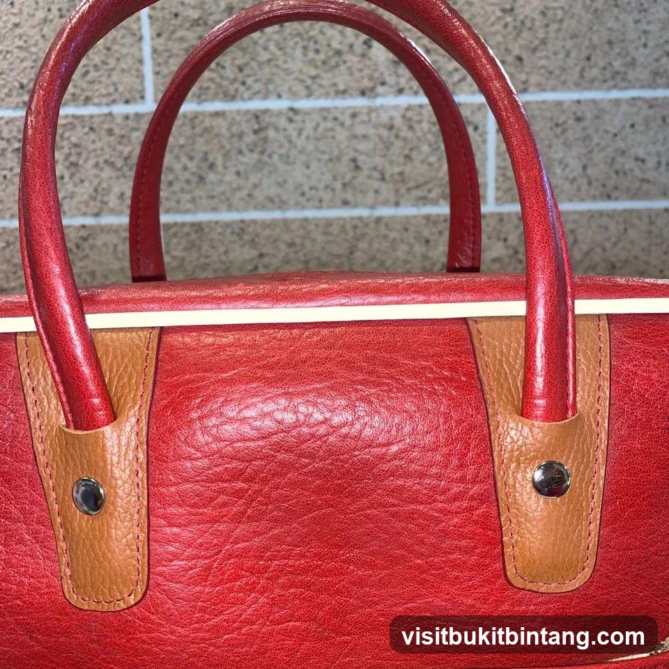 Red Handbag