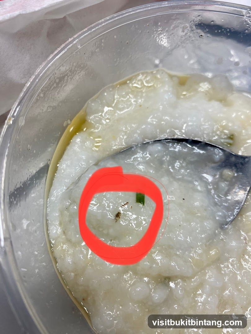 Congee with insect