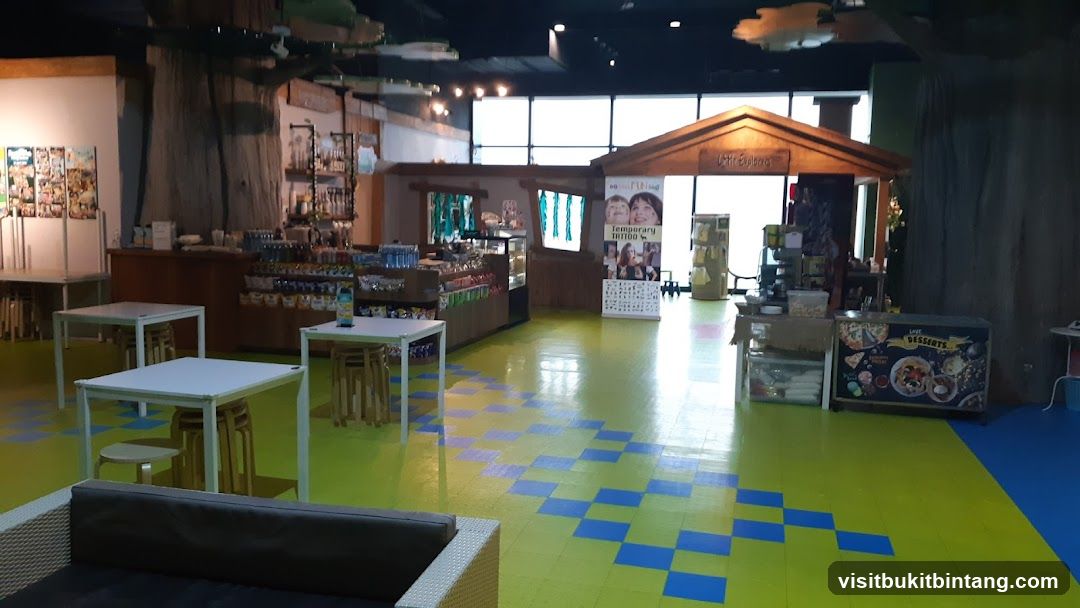 Indoor Play Area with Themed Shop