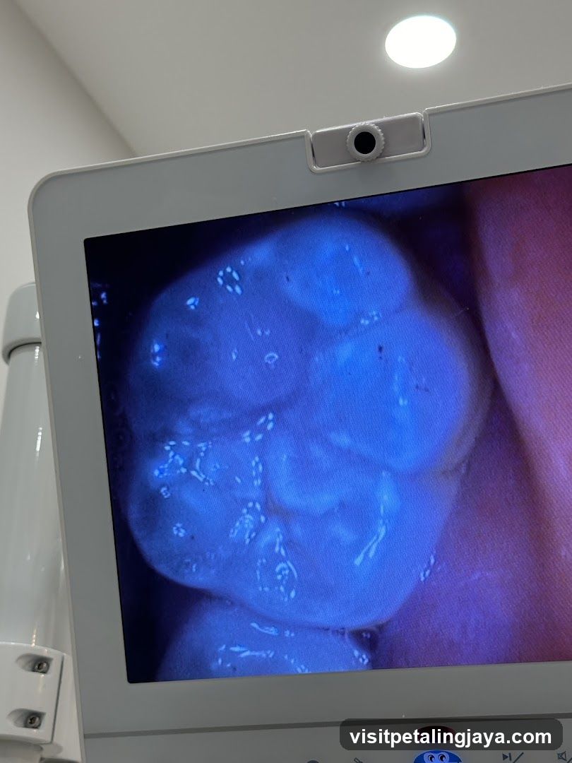 Dental Examination Screen Display