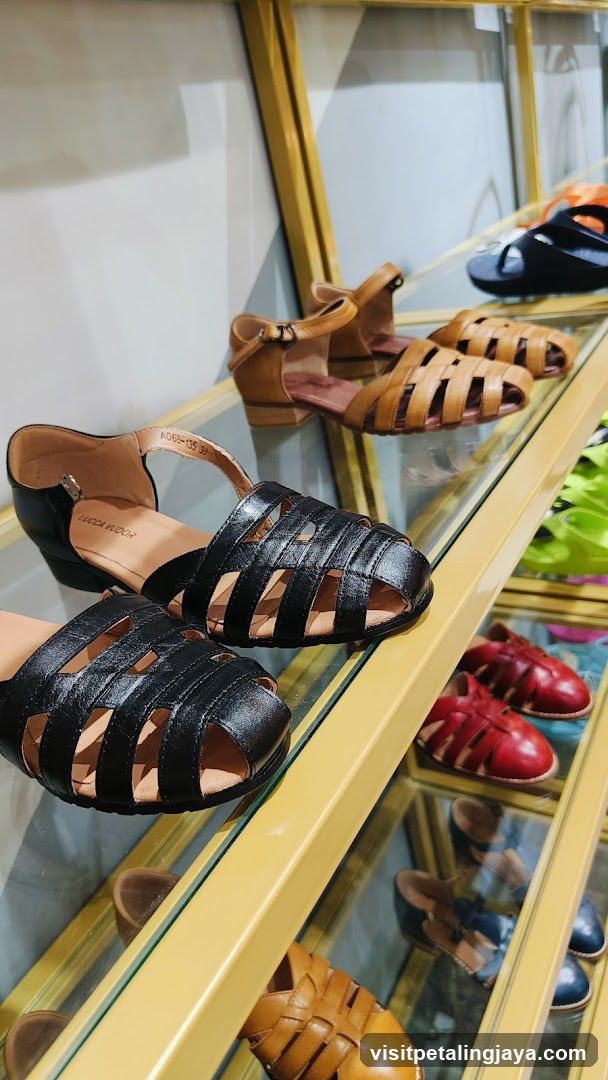 Shoe Display Case