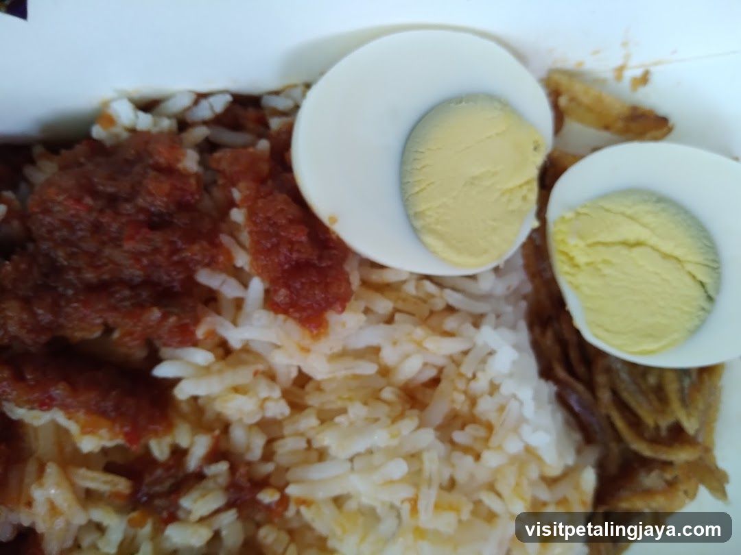 Bowl of Rice with Sauce and Boiled Egg
