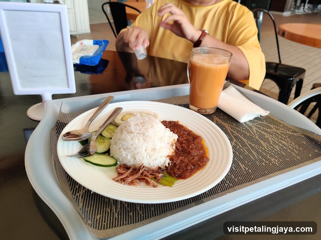 Rice and Curry Meal
